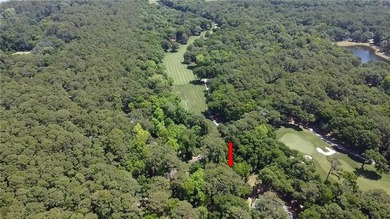 Situated on over 1 acre of land, this lot has beautiful fairway on Haig Point Golf Club in South Carolina - for sale on GolfHomes.com, golf home, golf lot