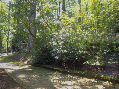 Welcome to a move-in ready charming cabin that is tucked into on Skyland Lakes Golf Course in Virginia - for sale on GolfHomes.com, golf home, golf lot