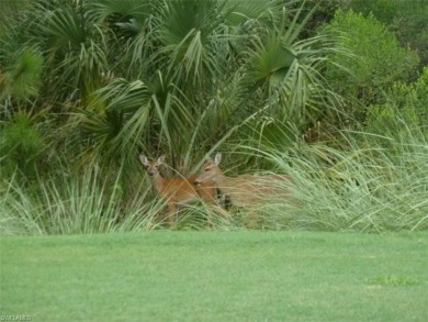 Panoramic lake and fairway views abound in this elegant on Cedar Hammock Golf and Country Club in Florida - for sale on GolfHomes.com, golf home, golf lot
