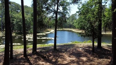 Build your dream home with water views and the tranquility of on Haig Point Golf Club in South Carolina - for sale on GolfHomes.com, golf home, golf lot