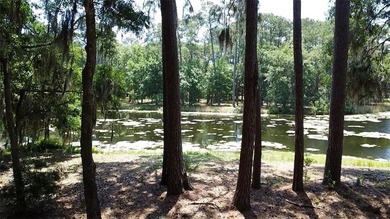 Build your dream home with water views and the tranquility of on Haig Point Golf Club in South Carolina - for sale on GolfHomes.com, golf home, golf lot