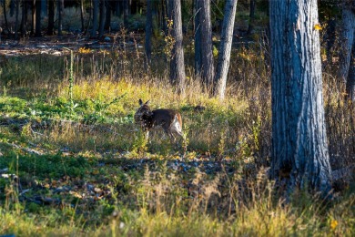 Location is key, and this exceptional 10.94-acre property is on Iron Horse Golf Club in Montana - for sale on GolfHomes.com, golf home, golf lot