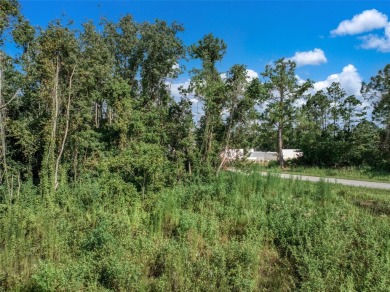 Build your ideal home in the desirable Sun N Lake community! on Sun n Lake Golf and Country Club in Florida - for sale on GolfHomes.com, golf home, golf lot