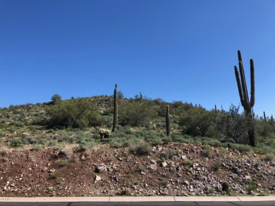 Located in beautiful Gold Canyon, the hillside lot is nestled in on Gold Canyon Golf Resort - Dinosaur Mountain in Arizona - for sale on GolfHomes.com, golf home, golf lot