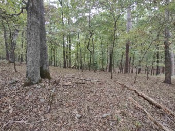 Tucked away in the woods...a great buildable lot located in on Diamondhead Golf & Country Club in Arkansas - for sale on GolfHomes.com, golf home, golf lot