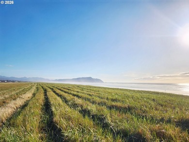 Luxury Turn-Key Fully Furnished Oceanfront Retreat perfectly on  in Oregon - for sale on GolfHomes.com, golf home, golf lot