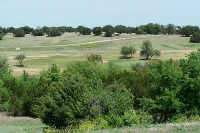 Find tranquility and relaxation on one of the prettiest lots in on The Retreat in Texas - for sale on GolfHomes.com, golf home, golf lot