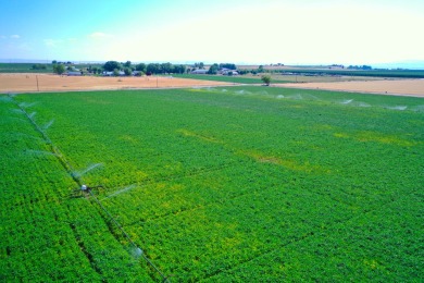 Irrigated productive farmland near the Deer Flat Low Line Canal on Timberstone Golf Course in Idaho - for sale on GolfHomes.com, golf home, golf lot