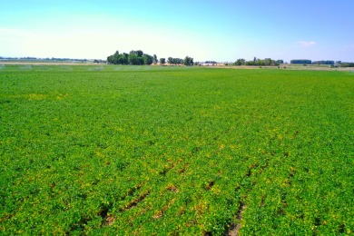 Irrigated productive farmland near the Deer Flat Low Line Canal on Timberstone Golf Course in Idaho - for sale on GolfHomes.com, golf home, golf lot