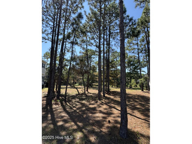 Prime Homesite in Ocean Ridge Plantation. Situated in one of the on Ocean Ridge Plantation in North Carolina - for sale on GolfHomes.com, golf home, golf lot