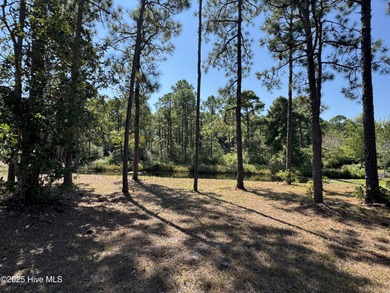 Prime Homesite in Ocean Ridge Plantation. Situated in one of the on Ocean Ridge Plantation in North Carolina - for sale on GolfHomes.com, golf home, golf lot
