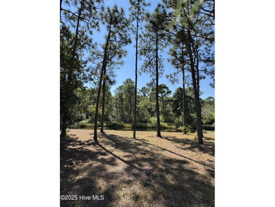 Prime Homesite in Ocean Ridge Plantation. Situated in one of the on Ocean Ridge Plantation in North Carolina - for sale on GolfHomes.com, golf home, golf lot