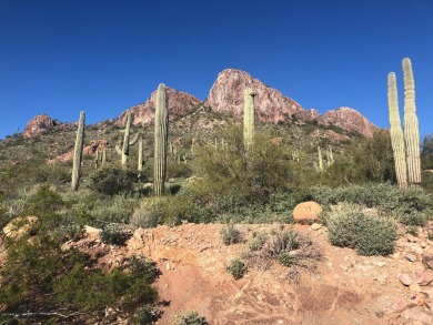 This lot is located on the side of Dinosaur Mountain with on Gold Canyon Golf Resort - Sidewinder in Arizona - for sale on GolfHomes.com, golf home, golf lot