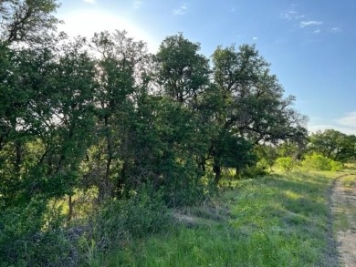 Not many lots left that are located on the golf course. Lot 917 on Hideout Golf Club and Resort  in Texas - for sale on GolfHomes.com, golf home, golf lot