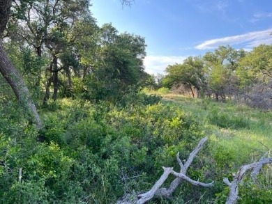 Not many lots left that are located on the golf course. Lot 917 on Hideout Golf Club and Resort  in Texas - for sale on GolfHomes.com, golf home, golf lot