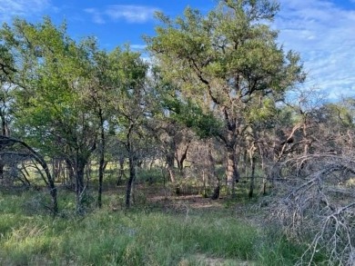 Not many lots left that are located on the golf course. Lot 917 on Hideout Golf Club and Resort  in Texas - for sale on GolfHomes.com, golf home, golf lot