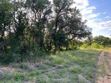 Not many lots left that are located on the golf course. Lot 917 on Hideout Golf Club and Resort  in Texas - for sale on GolfHomes.com, golf home, golf lot