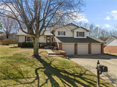 Located near the Harrison Country Club, this 3 bed, 2.5 bath on Harrison Country Club in Arkansas - for sale on GolfHomes.com, golf home, golf lot