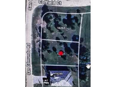 *** Greenbelt View Lot in Burnt Store Lakes!

Own this eastern on Burnt Store Golf Club in Florida - for sale on GolfHomes.com, golf home, golf lot
