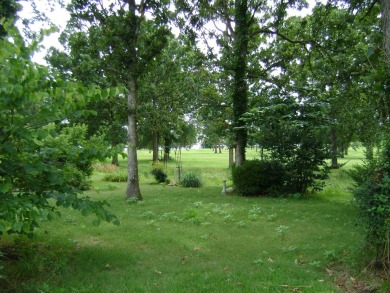 GOLF COURSE house with a great view of the course and club house on The Course At Turkey Mountain in Arkansas - for sale on GolfHomes.com, golf home, golf lot