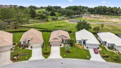 Great Savings on this POOL HOME! Imagine yourself in a Wonderful on Skyview At Terra Vista Golf and Country Club in Florida - for sale on GolfHomes.com, golf home, golf lot