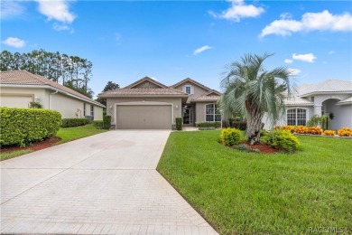 Great Savings on this POOL HOME! Imagine yourself in a Wonderful on Skyview At Terra Vista Golf and Country Club in Florida - for sale on GolfHomes.com, golf home, golf lot