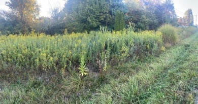 Build your dream home on this wooded Apple Valley Lake lot at on Apple Valley Golf Course in Ohio - for sale on GolfHomes.com, golf home, golf lot