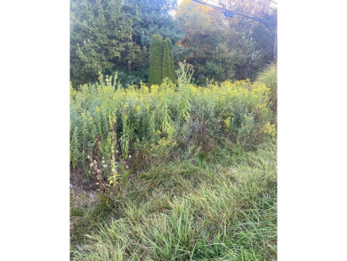 Build your dream home on this wooded Apple Valley Lake lot at on Apple Valley Golf Course in Ohio - for sale on GolfHomes.com, golf home, golf lot