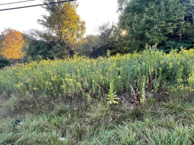 Build your dream home on this wooded Apple Valley Lake lot at on Apple Valley Golf Course in Ohio - for sale on GolfHomes.com, golf home, golf lot