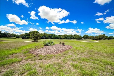 A Rare Opportunity to build your dream home on this premium golf on Black Diamond Ranch Golf Course in Florida - for sale on GolfHomes.com, golf home, golf lot