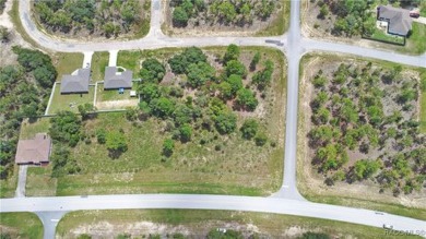On the border of Pine Ridge  Citrus Springs this Beautiful on Pine Ridge Community Golf and Country Club in Florida - for sale on GolfHomes.com, golf home, golf lot