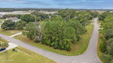 Discover the perfect blend of convenience and coastal living on Carolina National Golf Club in North Carolina - for sale on GolfHomes.com, golf home, golf lot