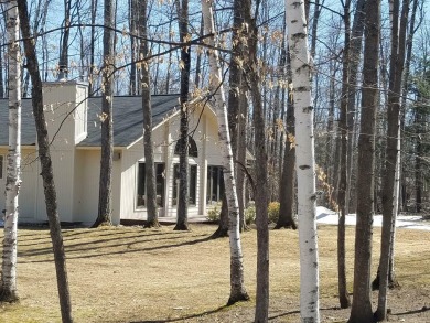 Cute and Cozy and well maintained 2 bedroom 2 bath ranch in on Michaywe Pines Course in Michigan - for sale on GolfHomes.com, golf home, golf lot