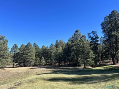 Spectacular Panoramic Views From These Two Contiguous Corner on Pendaries Village Community Assoc. in New Mexico - for sale on GolfHomes.com, golf home, golf lot