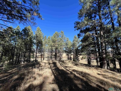 Spectacular Panoramic Views From These Two Contiguous Corner on Pendaries Village Community Assoc. in New Mexico - for sale on GolfHomes.com, golf home, golf lot