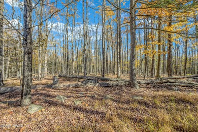 Turnkey Updated Ranch in The Hideout - Fully Furnished, No Steps on The Hideout Golf in Pennsylvania - for sale on GolfHomes.com, golf home, golf lot