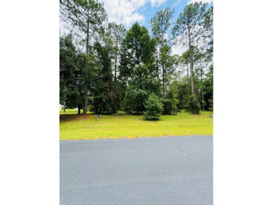 This 0.73 acre lot is surrounded by natural beauty of Coastal Ga on Sapelo Hammock Golf Club in Georgia - for sale on GolfHomes.com, golf home, golf lot