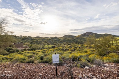 Nestled in a serene, gated community on a near-acre lot on Gold Canyon Golf Resort - Dinosaur Mountain in Arizona - for sale on GolfHomes.com, golf home, golf lot