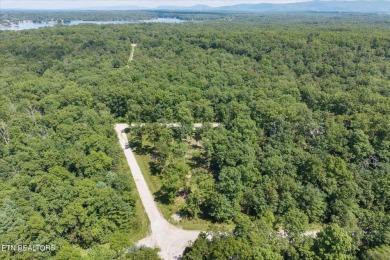 Three lots for sale in Tansi for a total of 0.87 acres in the on Lake Tansi Village Country Club in Tennessee - for sale on GolfHomes.com, golf home, golf lot