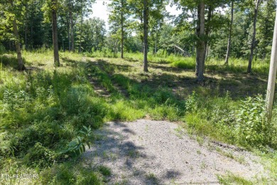 Three lots for sale in Tansi for a total of 0.87 acres in the on Lake Tansi Village Country Club in Tennessee - for sale on GolfHomes.com, golf home, golf lot