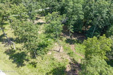 Three lots for sale in Tansi for a total of 0.87 acres in the on Lake Tansi Village Country Club in Tennessee - for sale on GolfHomes.com, golf home, golf lot