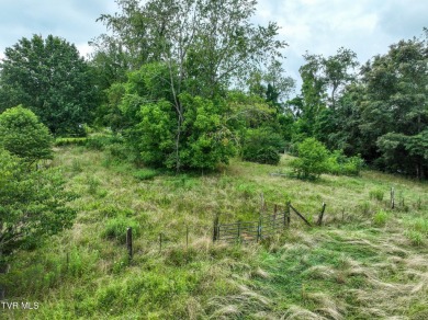 Two properties, one great opportunity! Here's your chance to own on Country Club of Bristol in Tennessee - for sale on GolfHomes.com, golf home, golf lot
