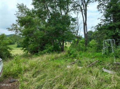 Two properties, one great opportunity! Here's your chance to own on Country Club of Bristol in Tennessee - for sale on GolfHomes.com, golf home, golf lot