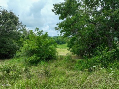 Two properties, one great opportunity! Here's your chance to own on Country Club of Bristol in Tennessee - for sale on GolfHomes.com, golf home, golf lot