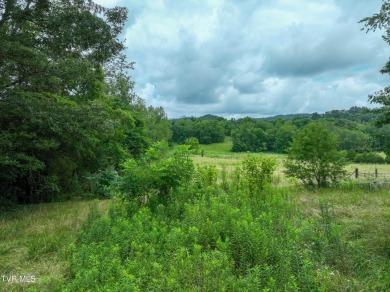 Two properties, one great opportunity! Here's your chance to own on Country Club of Bristol in Tennessee - for sale on GolfHomes.com, golf home, golf lot