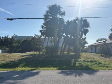 Build your dream home on this fantastic lot! X500 flood zone! on Rotonda Golf and Country Club The Palms Course in Florida - for sale on GolfHomes.com, golf home, golf lot
