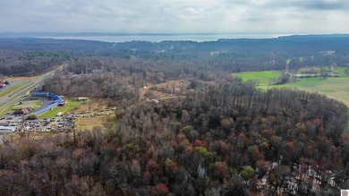 21.8+ Acres! Rare opportunity to own commercial development land on  in Kentucky - for sale on GolfHomes.com, golf home, golf lot
