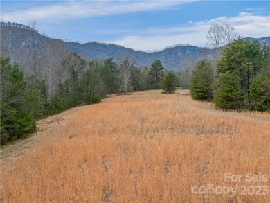 Set below prominent Eagle Rock and bordering vast conservation on Rumbling Bald Resort on Lake Lure in North Carolina - for sale on GolfHomes.com, golf home, golf lot