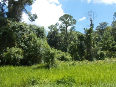 NICE 1/3 ACRE BUILDING LOT LOCATED IN THE GOLF COURSE COMMUNITY on Citrus Springs Country Club in Florida - for sale on GolfHomes.com, golf home, golf lot