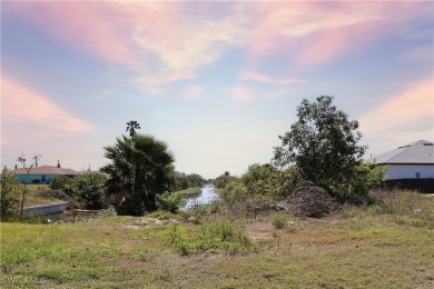Beautiful oversized lot (11,252 sq ft) lot in the heart of NE on Del Tura Golf and Country Club in Florida - for sale on GolfHomes.com, golf home, golf lot